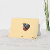 Carte Kitty Baseball (Dos)