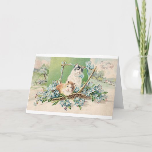 Carte Kitty Chat voeux d'anniversaire (Devant)