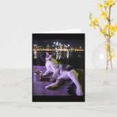 Carte Kitty Chaton Fumé Drôle Mème Chat Stupide Cerveau (Fleur jaune)