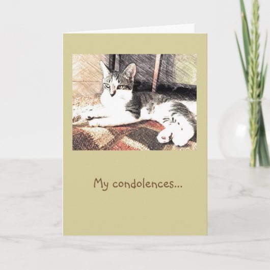 Carte Kitty Condolences (Devant)