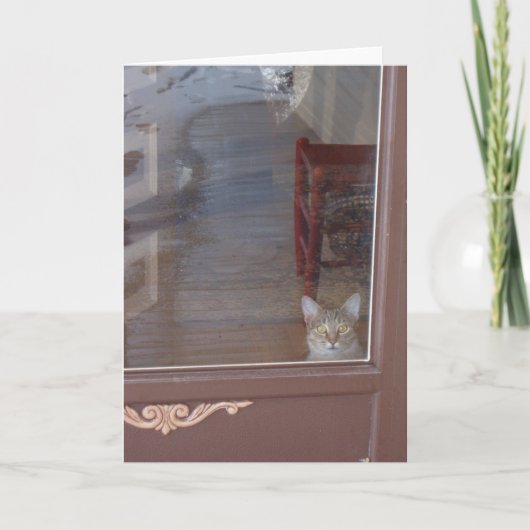 Carte Kitty dans la porte (Devant)