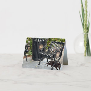 Carte Kitty dans le parc