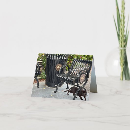 Carte Kitty dans le parc (Devant)