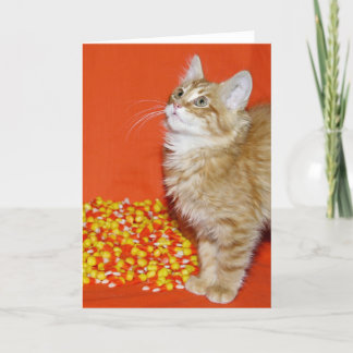 Carte Kitty d'Halloween