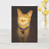 Carte Kitty fait un joyeux anniversaire (Fleur jaune)