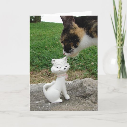 Carte Kitty, Meet Kitty (Devant)