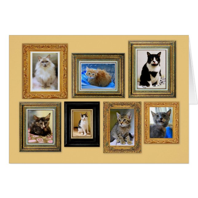 Carte Kitty Portrait Gallery (Devant horizontal)