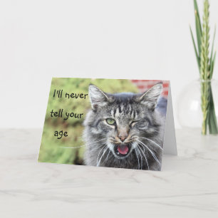 Carte Kitty sur la colline anniversaire