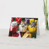 Carte Kitty Tulips (Devant)