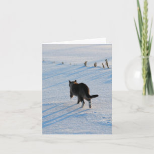 Carte Kitty Walking dans Snowy Corn Field Toutes les occ