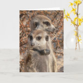 Carte KMP 4 - Jo Jo Bonjour et Habusu (Fleur jaune)