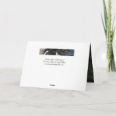 Carte Knabstrupper Stallion exécute Horse Grey Card (Dos)