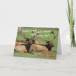 Carte Knock Knock Holly-days -