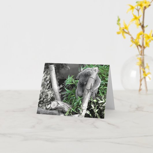 Carte Koala (Fleur jaune)