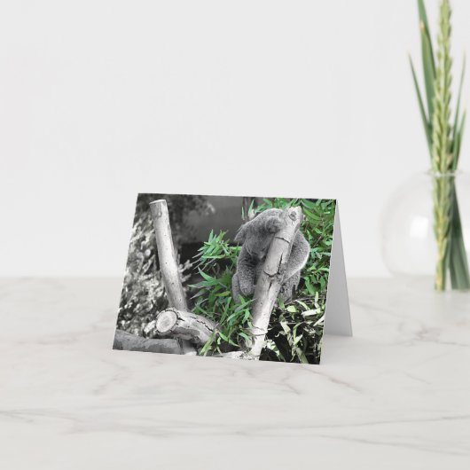 Carte Koala (Devant)