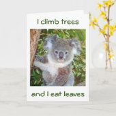 CARTE "KOALA BANTHDAY GREETINGS" IL MANGERA DU GÂTEAU PO (Fleur jaune)