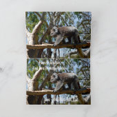 Carte Koala Bear Tight Rope Walker, Anniversaire (Intérieur)