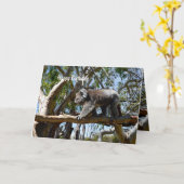 Carte Koala Bear Tight Rope Walker, Anniversaire (Fleur jaune)