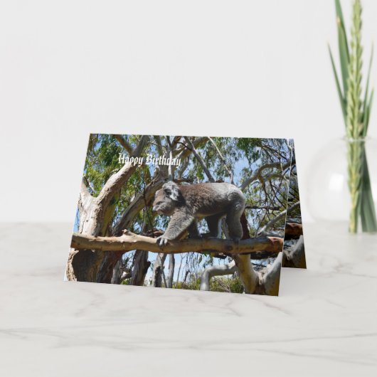 Carte Koala Bear Tight Rope Walker, Anniversaire (Devant)