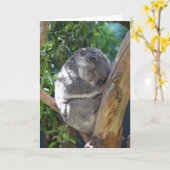 Carte Koala dormant dans l'arbre (Fleur jaune)