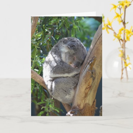 Carte Koala dormant dans l'arbre (Fleur jaune)
