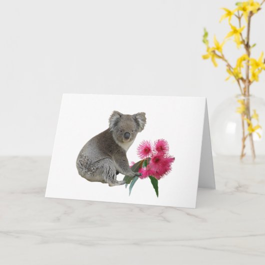 Carte Koala et Eucalyptus (Fleur jaune)