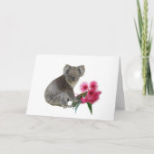 Carte Koala et Eucalyptus (Devant)