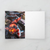 Carte Koi Fish JOY DE KOI (Intérieur)