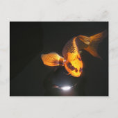 Carte Koi Post non écrasée (Devant)