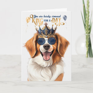Carte Kooikerhondje Chien King pour une journée d'annive