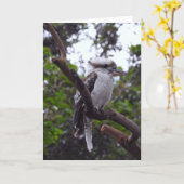 Carte Kookaburra (Fleur jaune)