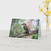 Carte Kookaburra sur branche (Fleur jaune)