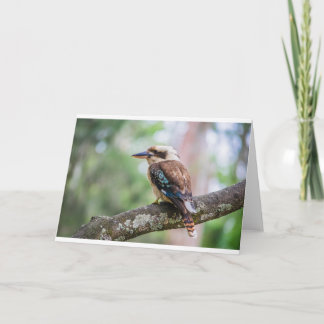 Carte Kookaburra sur branche