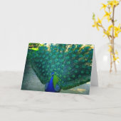 Carte La beauté d'un paon (Fleur jaune)