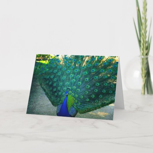 Carte La beauté d'un paon (Devant)