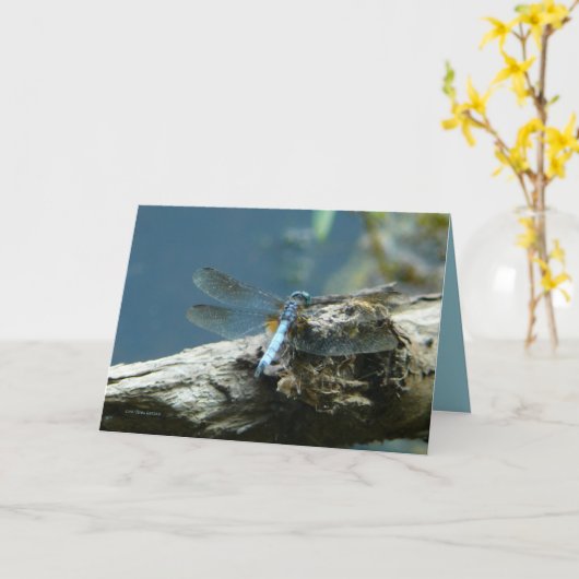 Carte La beauté reste (Fleur jaune)