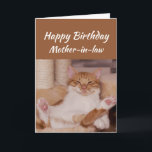 Carte La belle-mère de joyeux anniversaire célèbrent le<br><div class="desc">La belle-mère de joyeux anniversaire la célèbrent n'importe quelle manière que vous voulez avec une salutation animale drôle de détente mignonne d'anniversaire de chat customiser</div>
