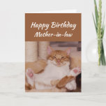 Carte La belle-mère de joyeux anniversaire célèbrent le<br><div class="desc">La belle-mère de joyeux anniversaire la célèbrent n'importe quelle manière que vous voulez avec une salutation animale drôle de détente mignonne d'anniversaire de chat customiser</div>