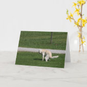 Carte La caca arrive (Fleur jaune)