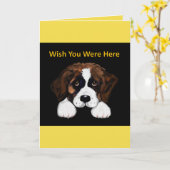 Carte La Cité Saint Bernard (Fleur jaune)