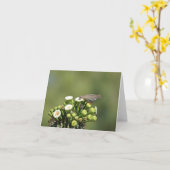 Carte La colombe à ailes blanches (Fleur jaune)