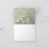 Carte La colombe à ailes blanches (Intérieur)