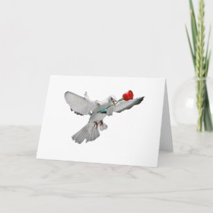 Carte La colombe et s'est levée
