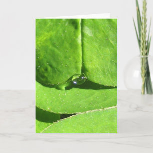 Carte La déesse nature Clocher avec Dew