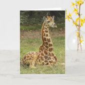 Carte La faune de Giraffe (Fleur jaune)