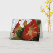 Carte La Faveur de Dieu, Stargazer Amaryllis (Fleur jaune)