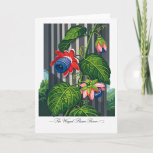 Carte La fleur de la passion ailée — Réinterprétation bo