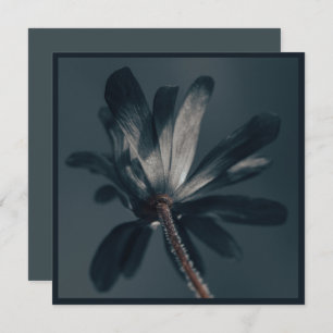 Carte La Fleur Délicieuse Et Sombre