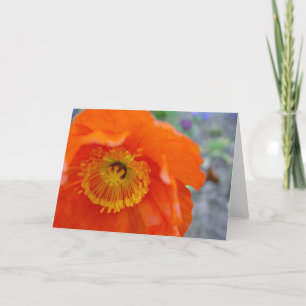 Carte La fleur orange