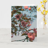 Carte La floraison du crabap de Malus Brandywine (Fleur jaune)